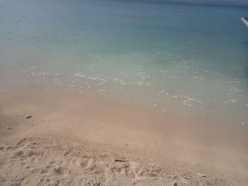 f:id:kusako:20160728233850j:plain f:id:kusako:20160728233850j:plain