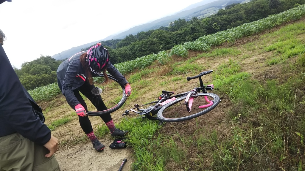 f:id:kusakyo:20180918114548j:plain f:id:kusakyo:20180918114548j:plain