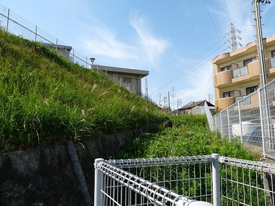 f:id:kusamachi:20121109125858j:image f:id:kusamachi:20121109125858j:image