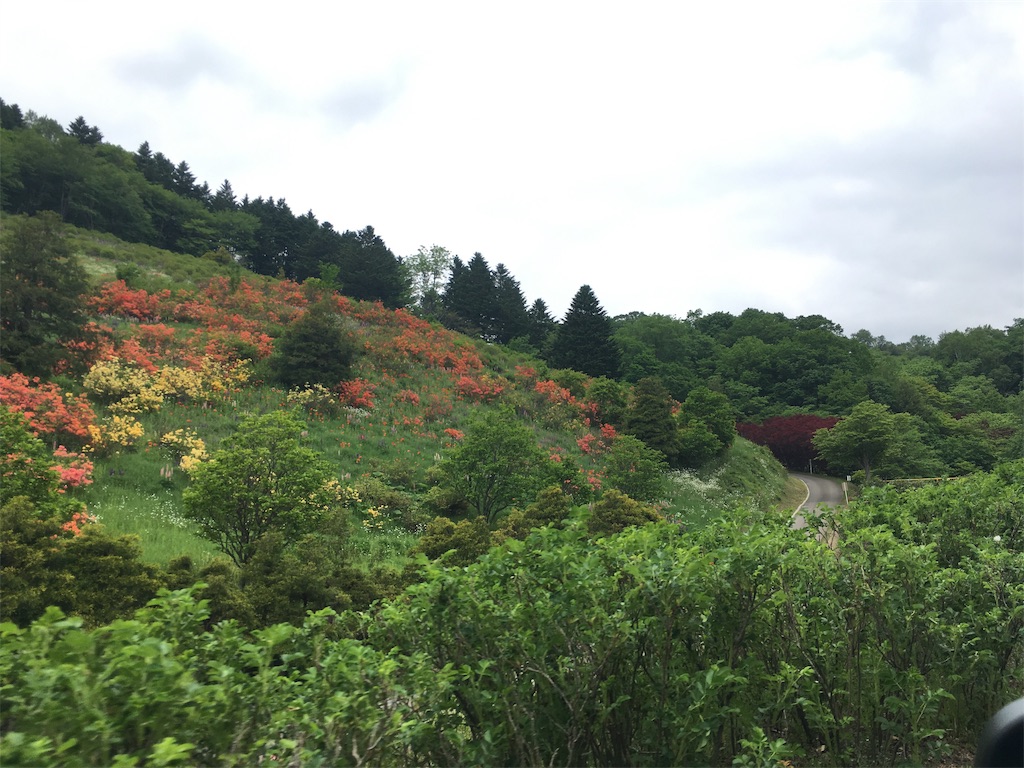 f:id:kusamaru:20190622202411j:image