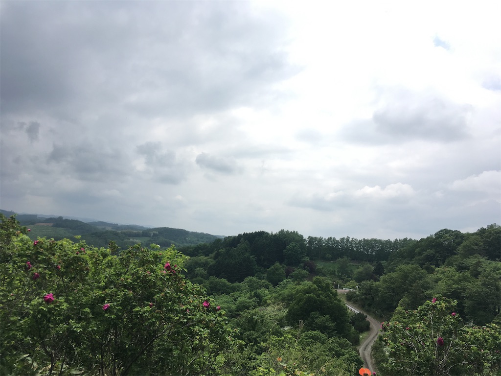 f:id:kusamaru:20190622203120j:image