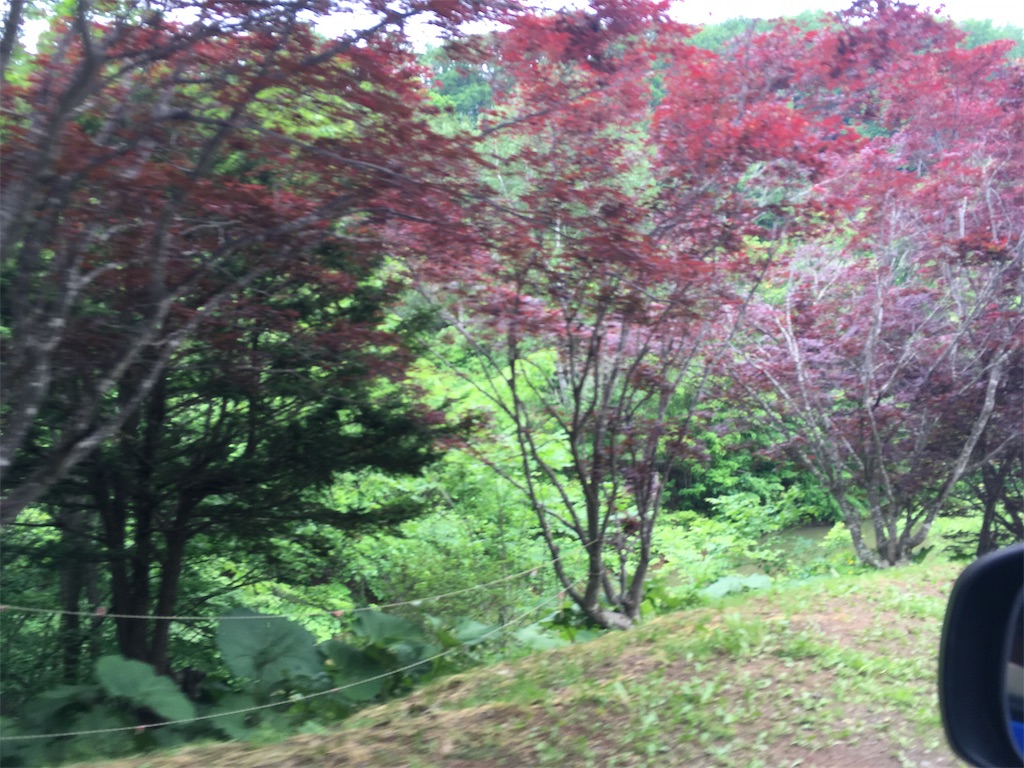 f:id:kusamaru:20190622203429j:image