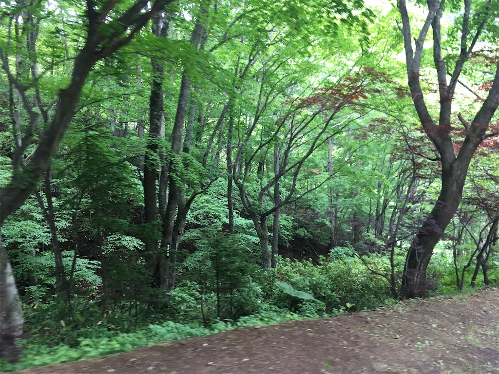 f:id:kusamaru:20190622203432j:image