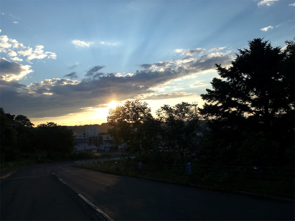 f:id:kusamaru:20190624235117j:image