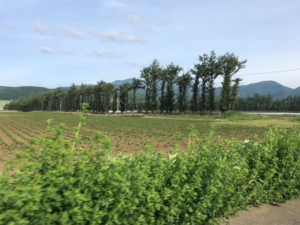 f:id:kusamaru:20190627210305j:image