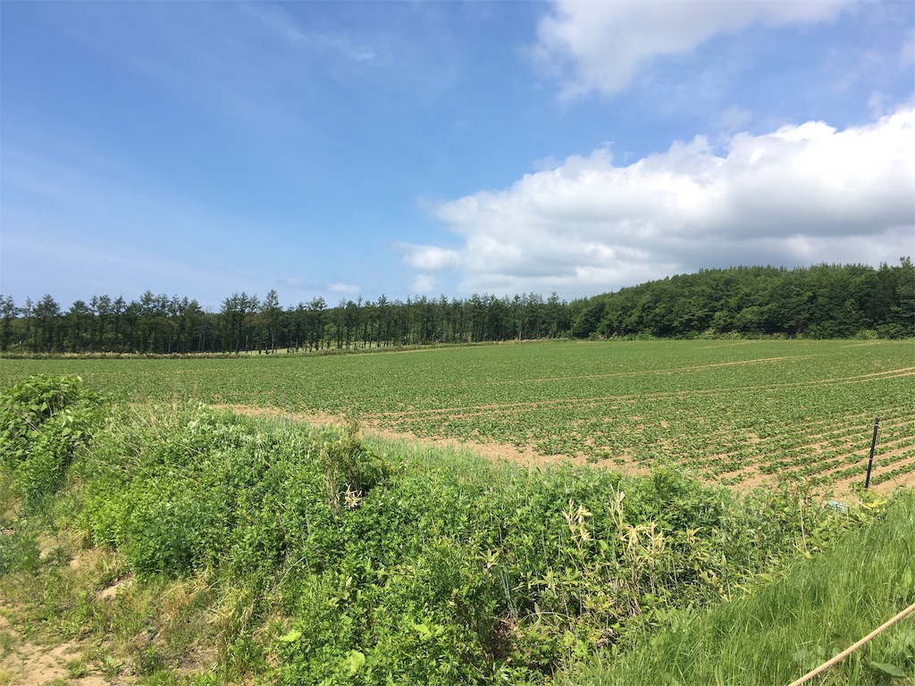 f:id:kusamaru:20190627210311j:image