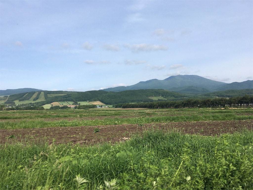 f:id:kusamaru:20190627210314j:image