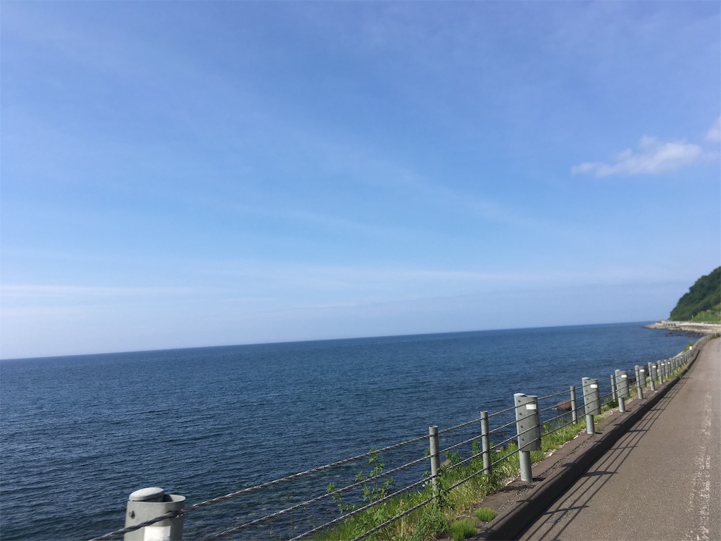 f:id:kusamaru:20190627210317j:image