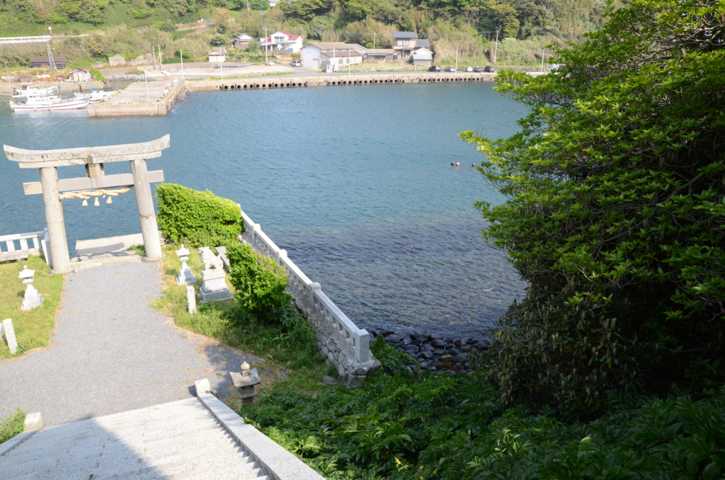f:id:kusamushi:20170430212557j:plain f:id:kusamushi:20170430212557j:plain
