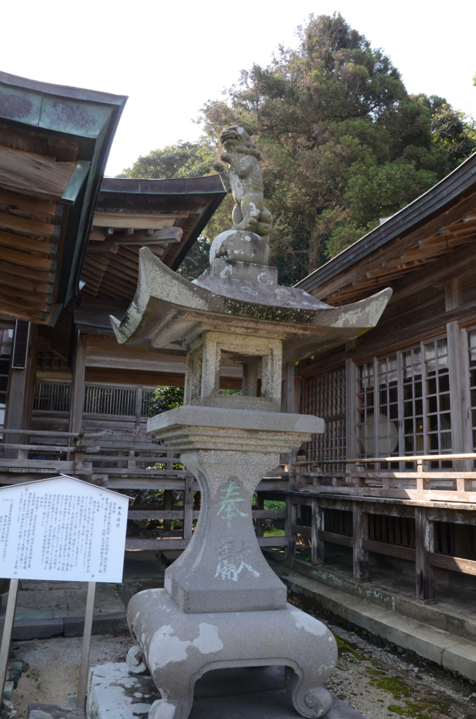 f:id:kusamushi:20170430212943j:plain f:id:kusamushi:20170430212943j:plain
