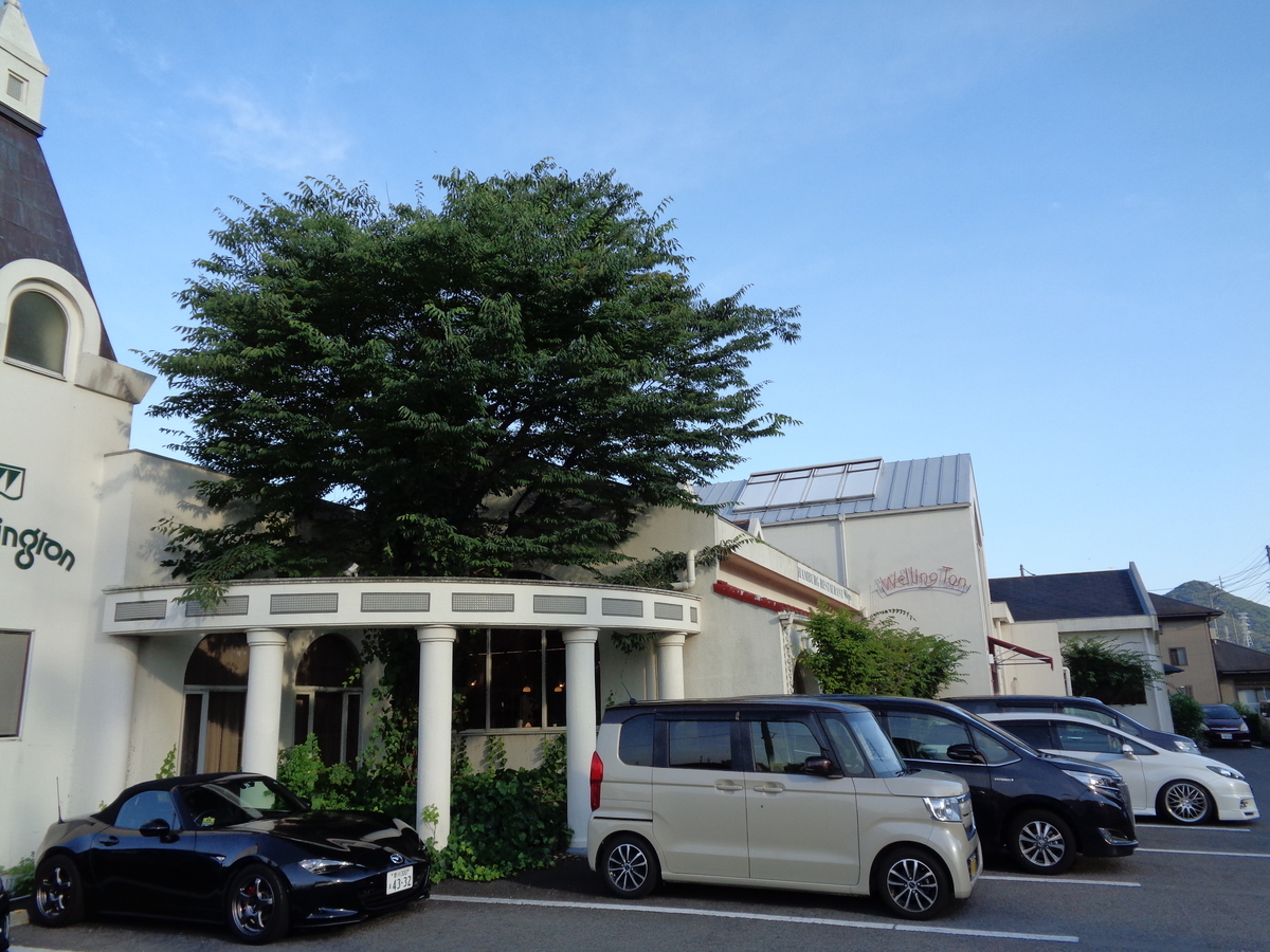 f:id:kusanagi88:20210711203636j:plain