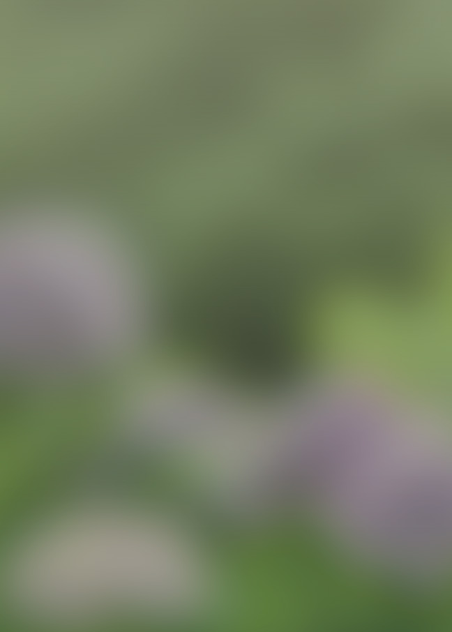 f:id:kusano_k:20191115044832j:plain:w400 f:id:kusano_k:20191115044832j:plain:w400