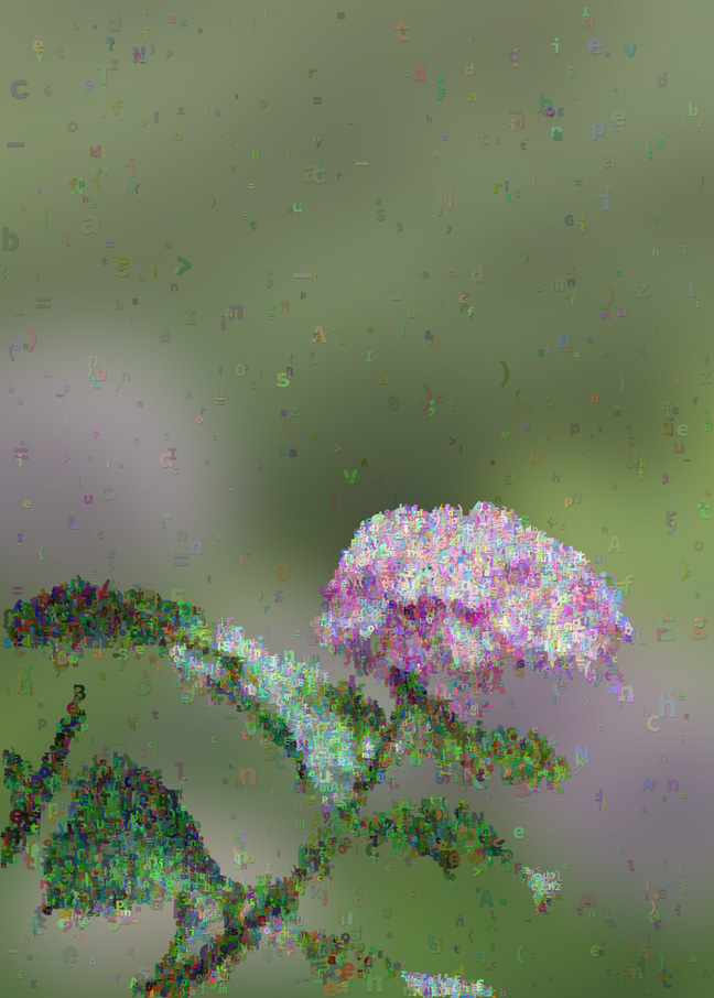 f:id:kusano_k:20191115045859j:plain:w400 f:id:kusano_k:20191115045859j:plain:w400