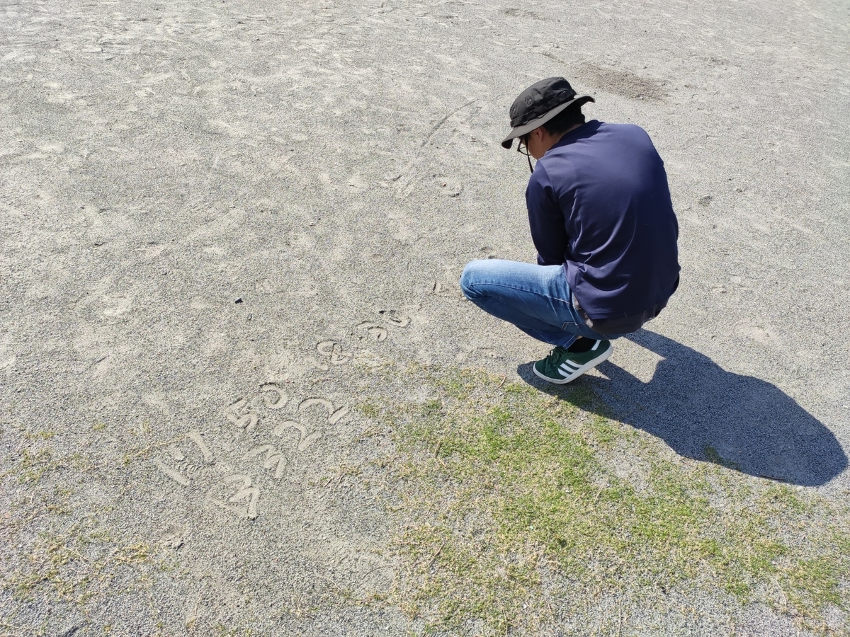 f:id:kusanoyoshiyaa:20200621235634j:plain