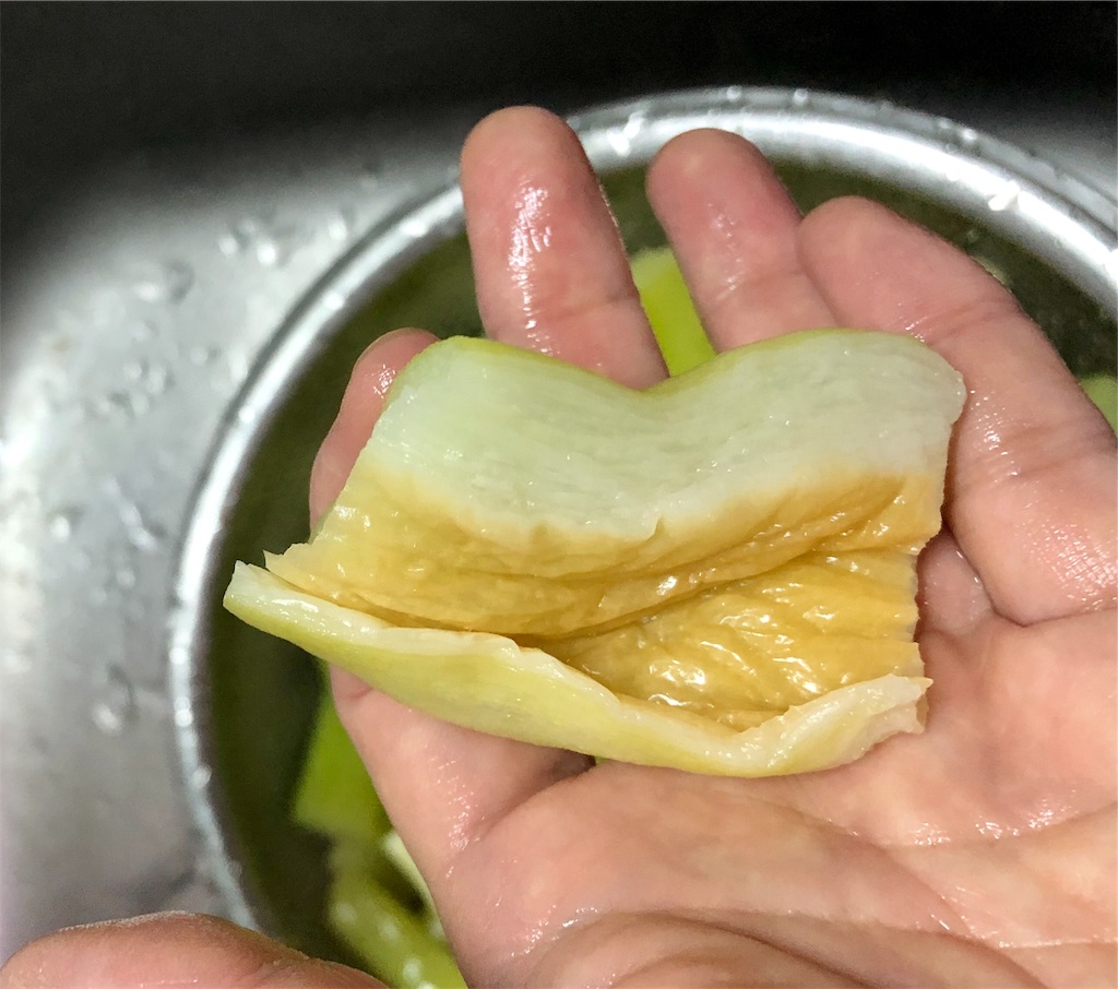 ホリケン風ならシャキジュワ です みちくさラボ