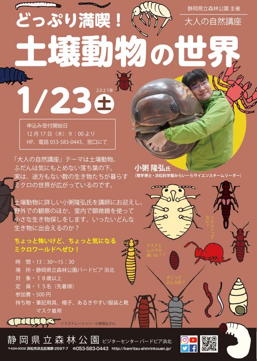 f:id:kusatoki:20210123191458j:plain