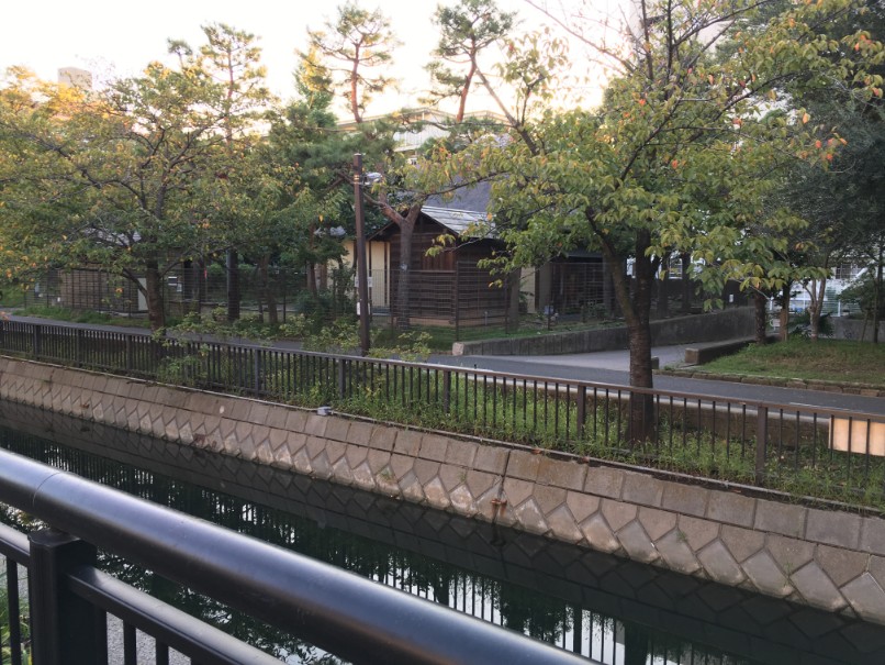 f:id:kusomamiren:20180928194027j:plain f:id:kusomamiren:20180928194027j:plain
