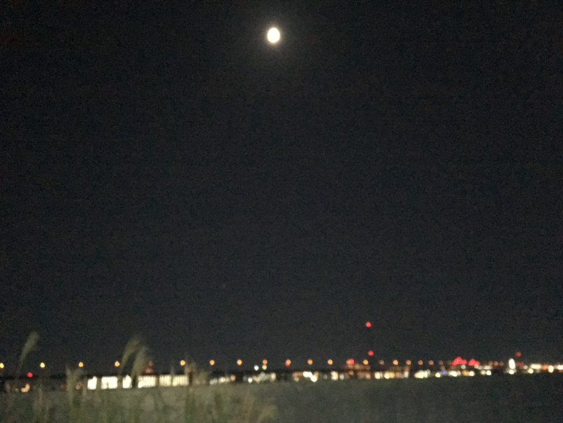 f:id:kusomamiren:20181021204926j:plain f:id:kusomamiren:20181021204926j:plain