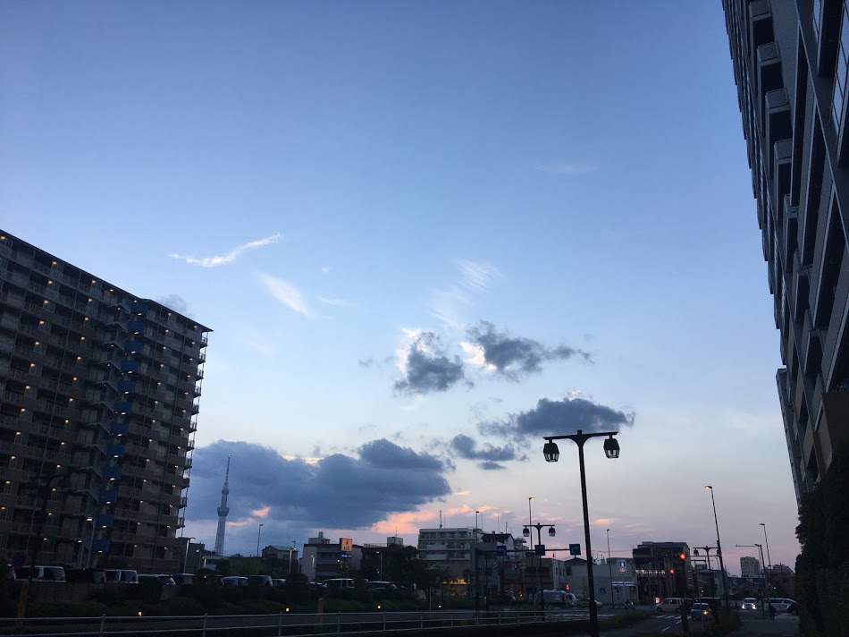 f:id:kusomamiren:20200802230721j:plain f:id:kusomamiren:20200802230721j:plain