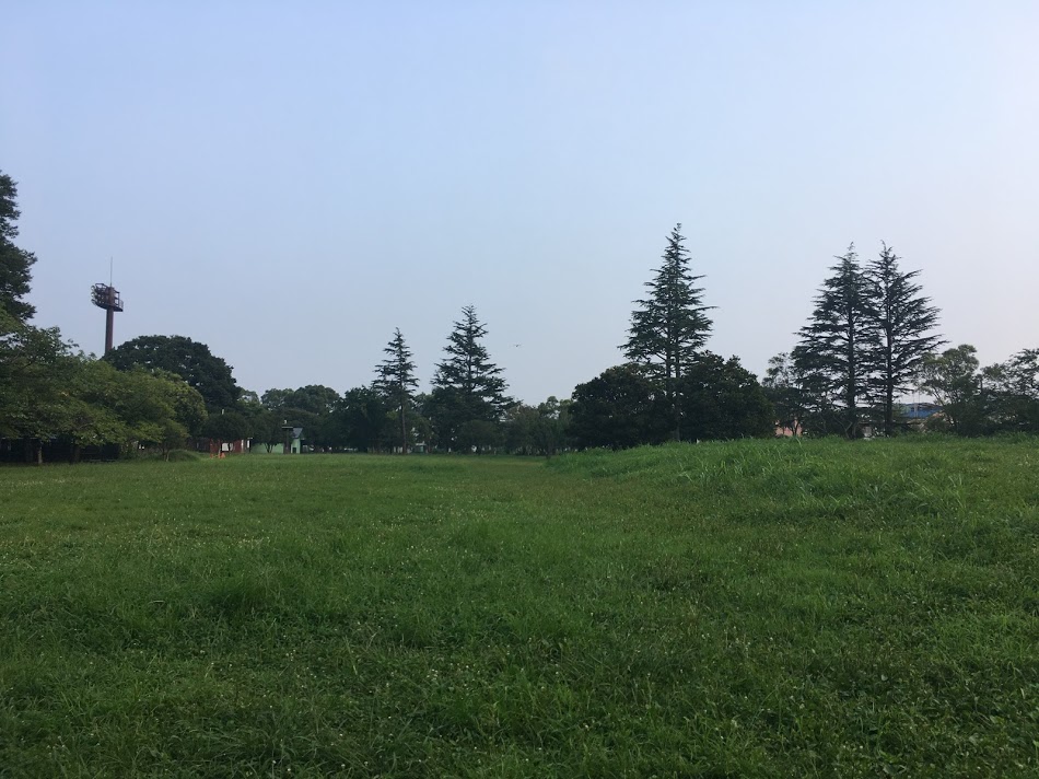 f:id:kusomamiren:20200808235140j:plain f:id:kusomamiren:20200808235140j:plain