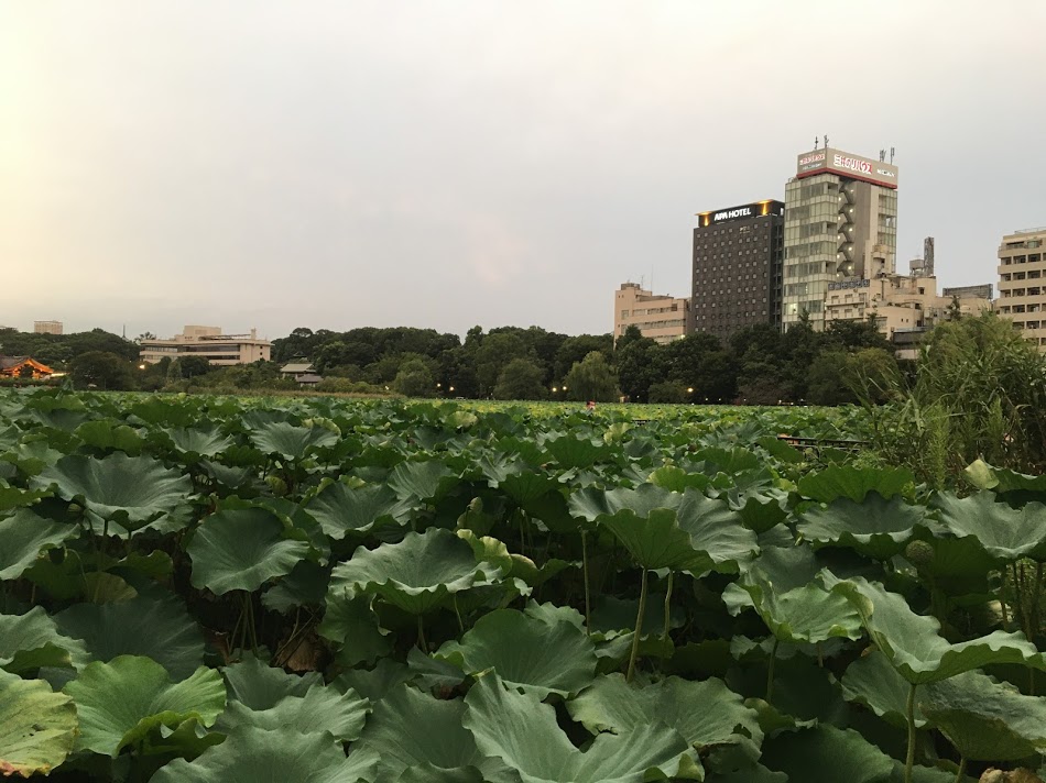 f:id:kusomamiren:20200915222908j:plain f:id:kusomamiren:20200915222908j:plain