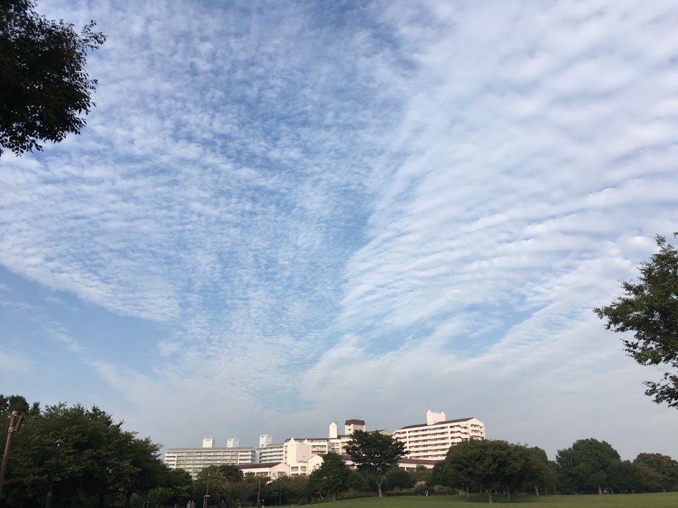 f:id:kusomamiren:20201005205235j:plain f:id:kusomamiren:20201005205235j:plain