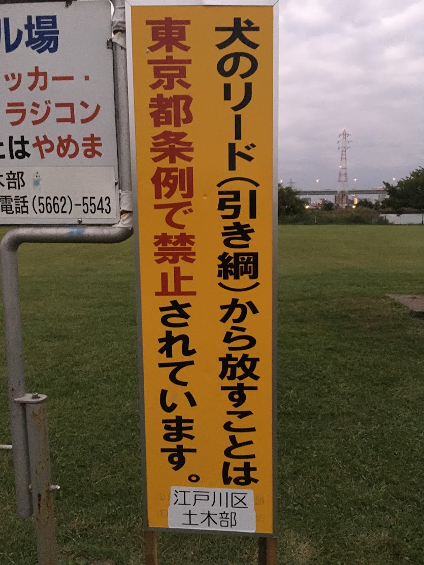 f:id:kusomamiren:20201014235453j:plain f:id:kusomamiren:20201014235453j:plain
