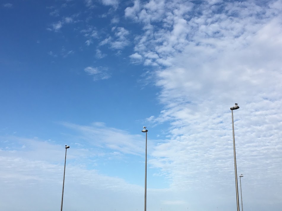 f:id:kusomamiren:20201016232319j:plain f:id:kusomamiren:20201016232319j:plain