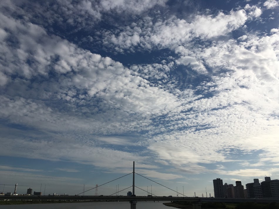 f:id:kusomamiren:20201016232329j:plain f:id:kusomamiren:20201016232329j:plain