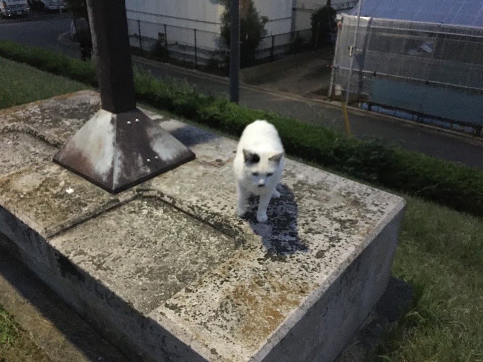 f:id:kusomamiren:20201016232406j:plain f:id:kusomamiren:20201016232406j:plain