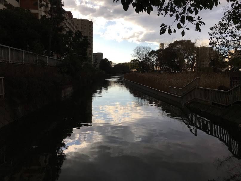 f:id:kusomamiren:20210217201029j:plain