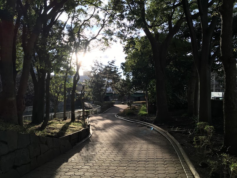 f:id:kusomamiren:20210217201033j:plain