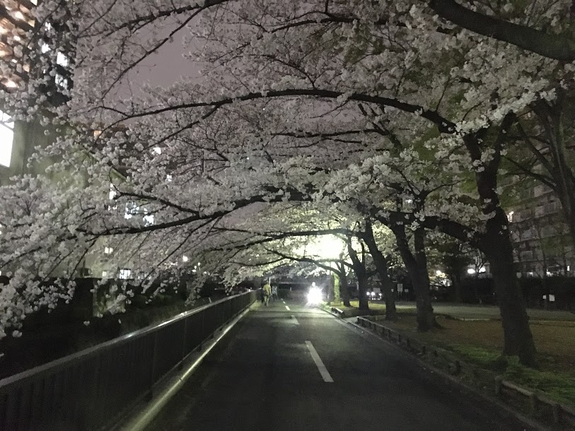 f:id:kusomamiren:20210325194017j:plain
