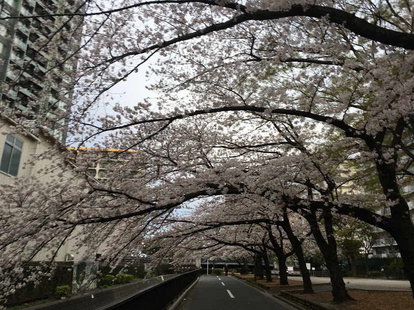 f:id:kusomamiren:20210325194034j:plain