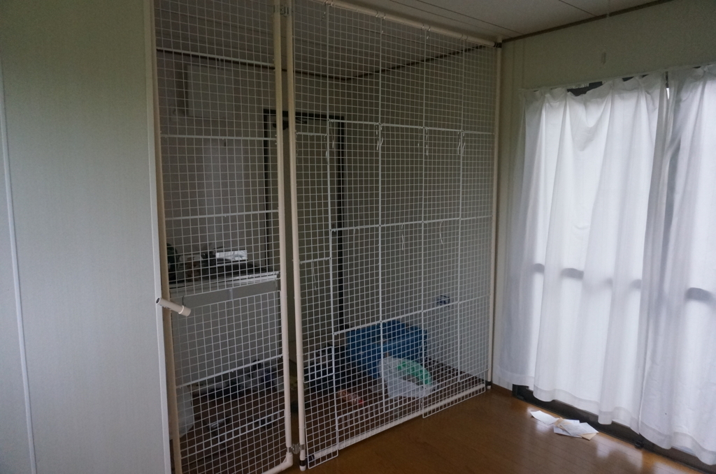 f:id:kusomamirenazinsei:20170727003023j:plain f:id:kusomamirenazinsei:20170727003023j:plain