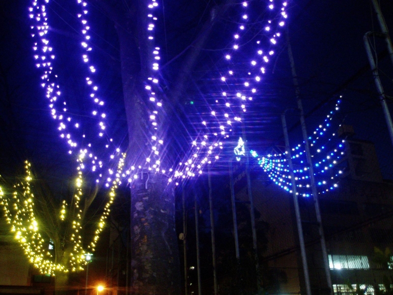 f:id:kussan01:20110309202739j:image