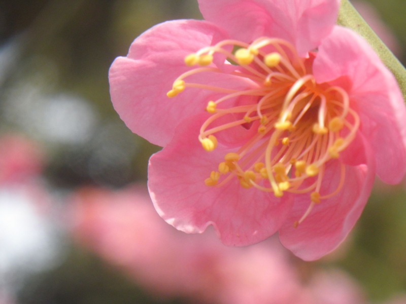 f:id:kussan01:20110312093245j:image