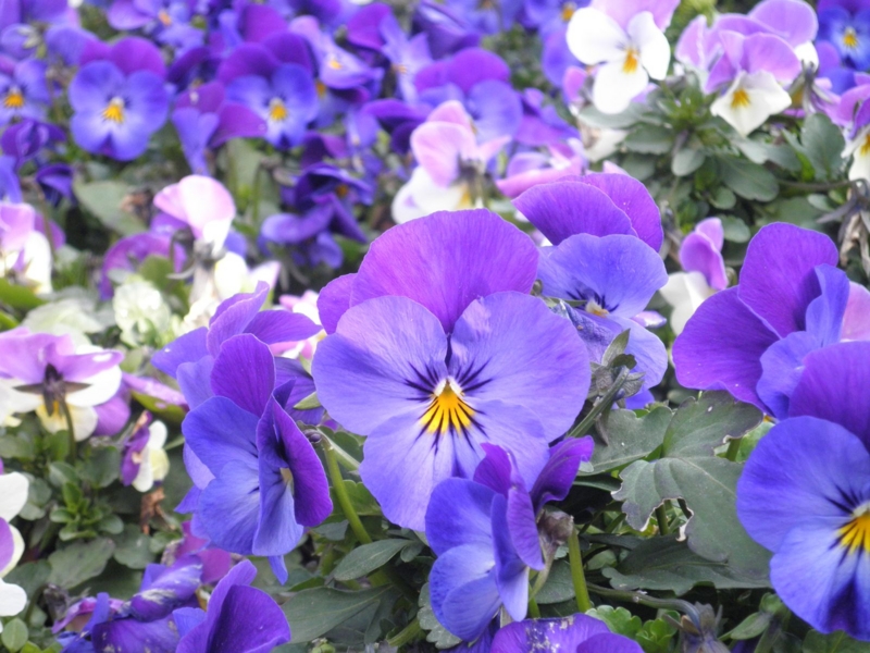 f:id:kussan01:20110312093247j:image