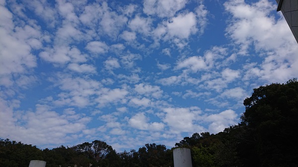 夏空