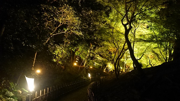 栗林公園ライトアップ