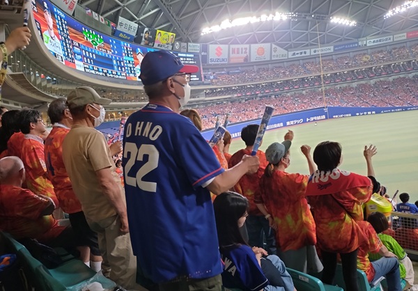 外野席