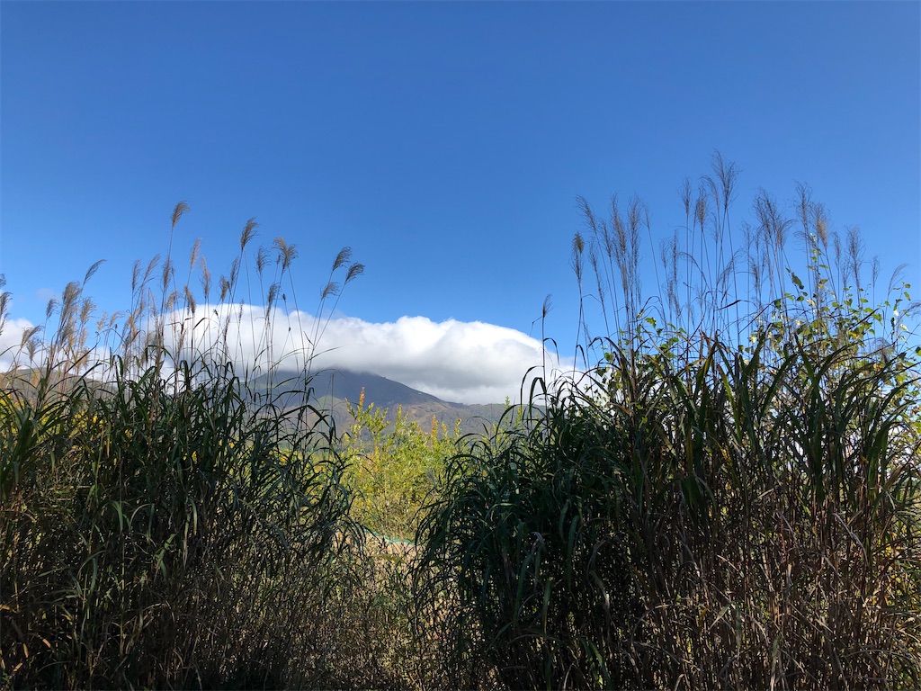 f:id:kusudakusuko12:20200820185542j:image