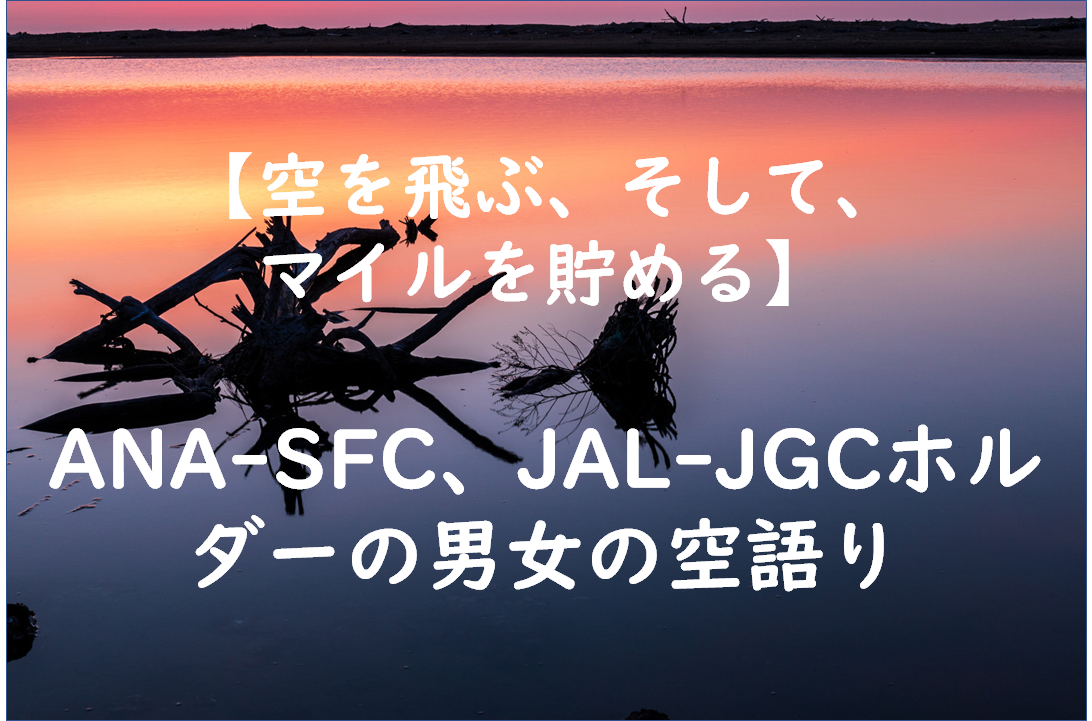 f:id:kusuharyou:20200910154035p:plain