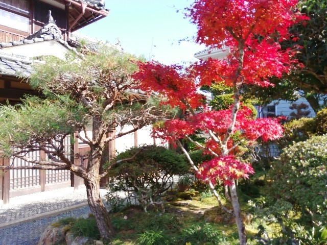 f:id:kusukusu_kun:20201119152058j:image f:id:kusukusu_kun:20201119152058j:image