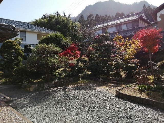 f:id:kusukusu_kun:20201119152204j:image f:id:kusukusu_kun:20201119152204j:image