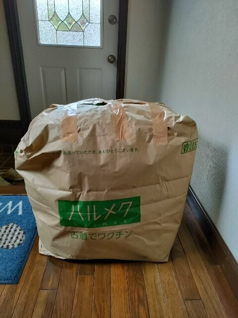 f:id:kusukusu_kun:20241009112745j:image f:id:kusukusu_kun:20241009112745j:image