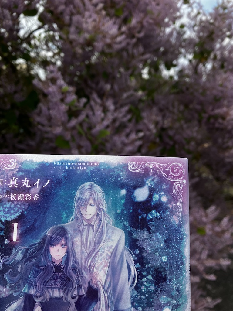f:id:kusumamodays:20250309224801j:image