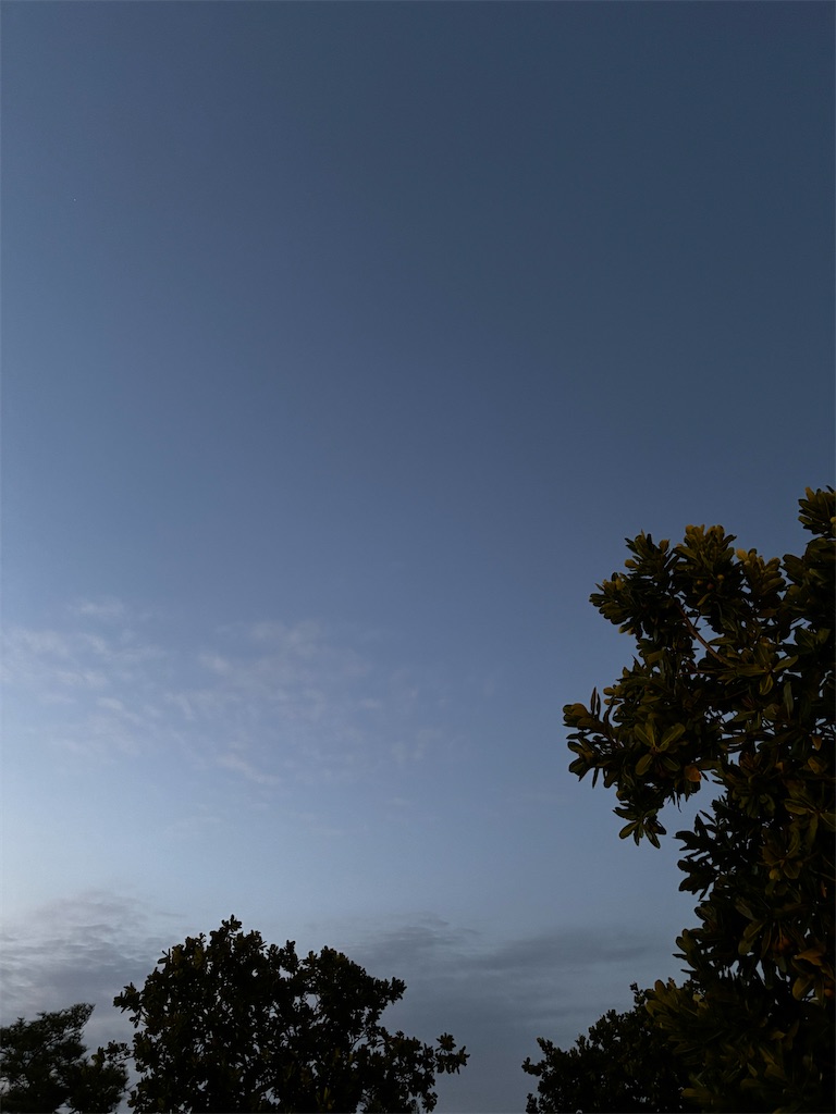 f:id:kusumamodays:20250404201912j:image