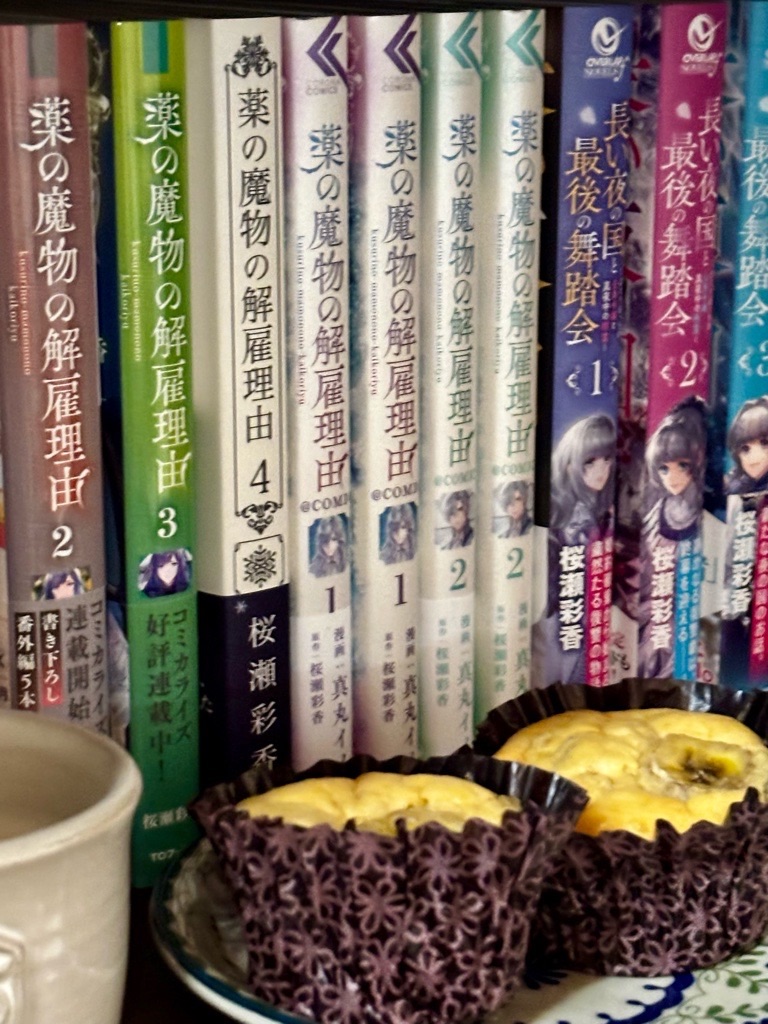 f:id:kusumamodays:20250505223217j:image