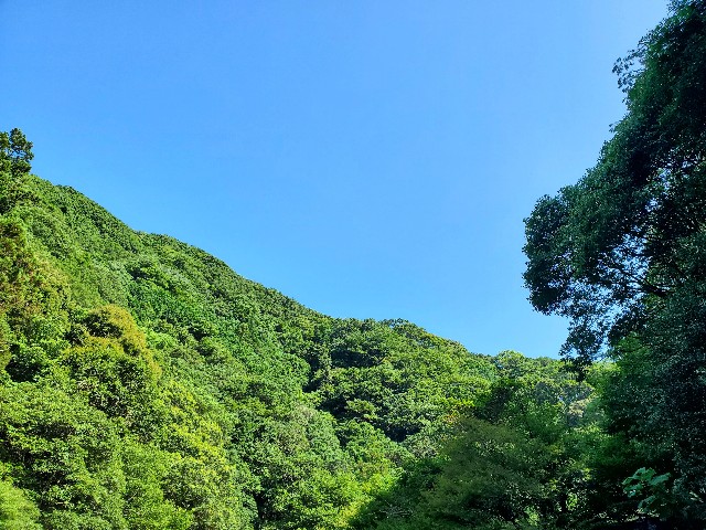 f:id:kusunoki_mori3:20210712011025j:image